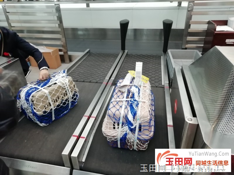 唐山便宜的宠物托运公司