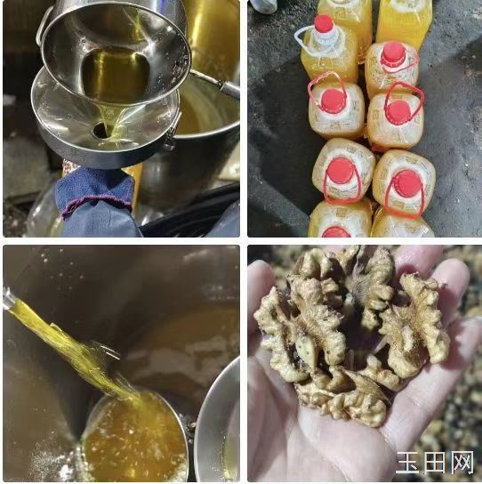 自家炸的核桃油保纯，自己吃送朋友首选。二十一斤，90一桶