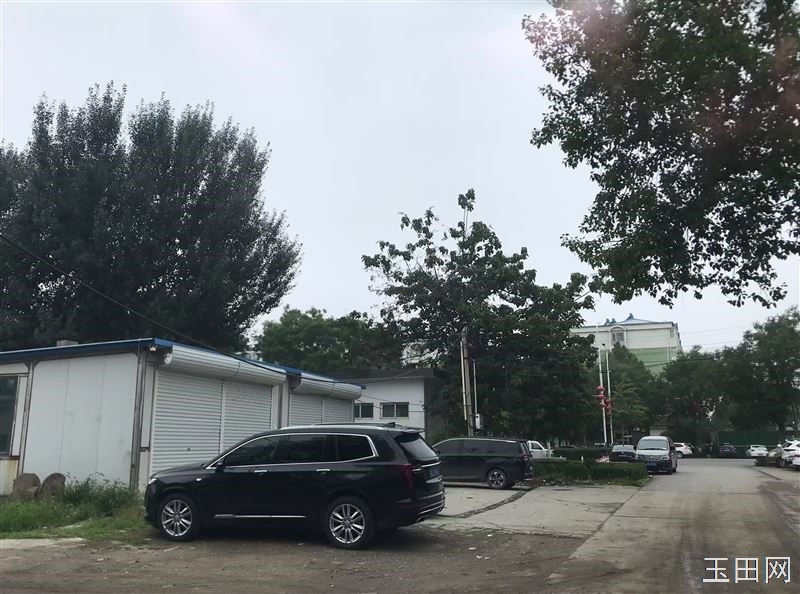 旭升路路东门市出租，小树林烧烤对面