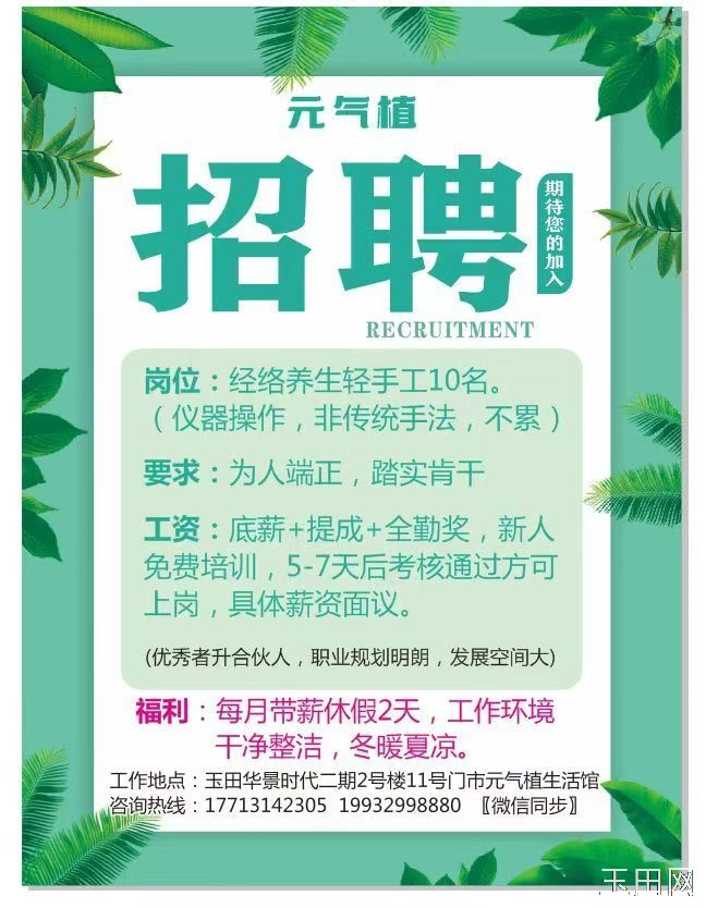 招聘 经络养生轻手工10名