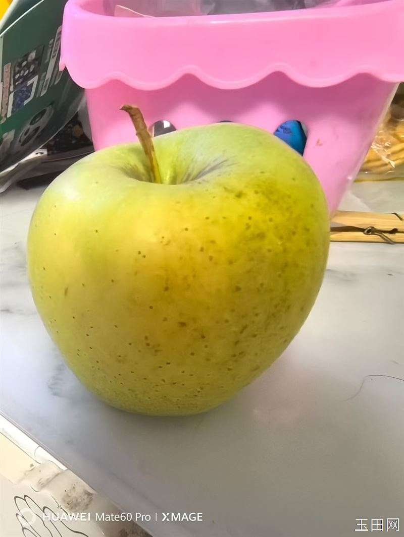 家长的山坡黄元帅苹果，3-4 两左右，20 元 7 斤，酸甜可口