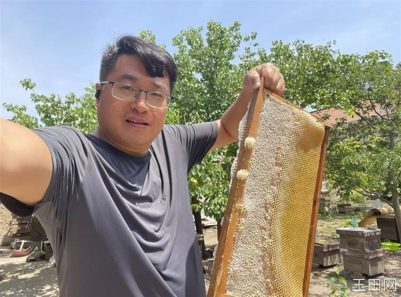 自家养，纯蜂蜜，今年蜂蜜特别粘稠，质量上乘，百花蜜，是自家食用，赠送亲友的上等佳品