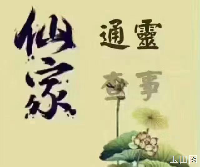 仙家上门查事 看事！